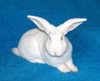 Laboratory rabbit--Trophic Animal Feed High-tech Co.Ltd