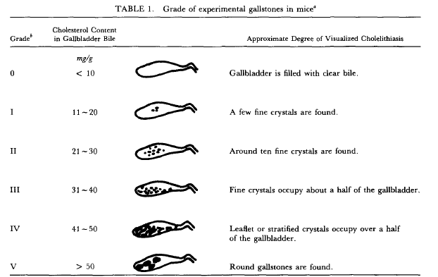 胆结石分级方法Grade of experimental gallstones in mice