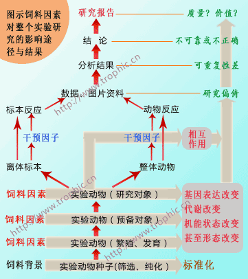 实验动物饲料如何影响研究。how diets affect experimental research!